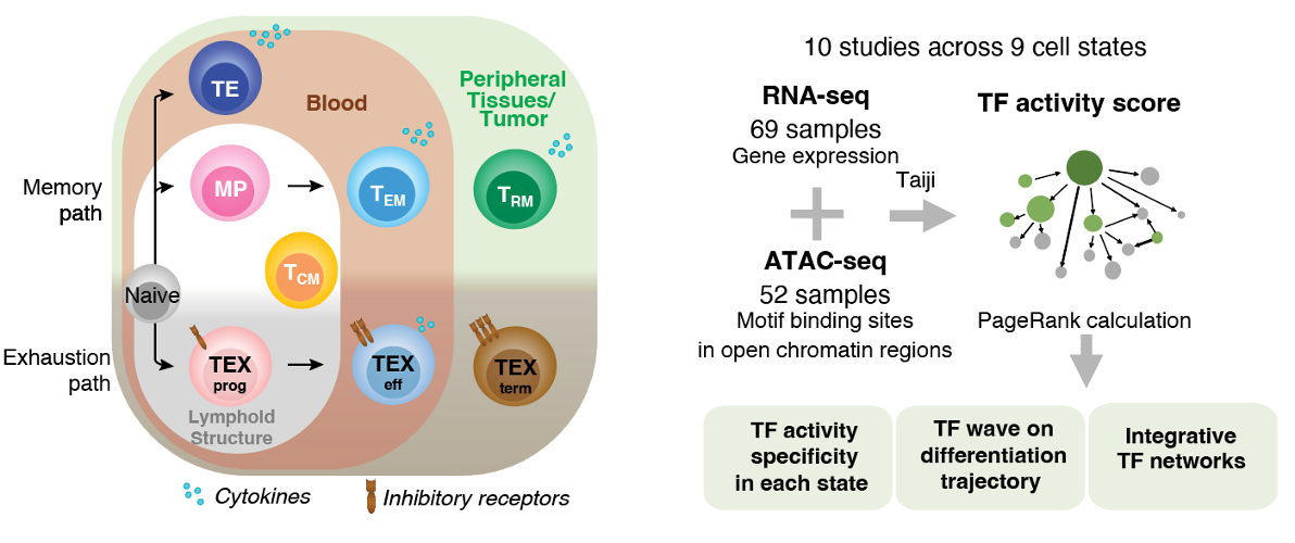 something went wrong