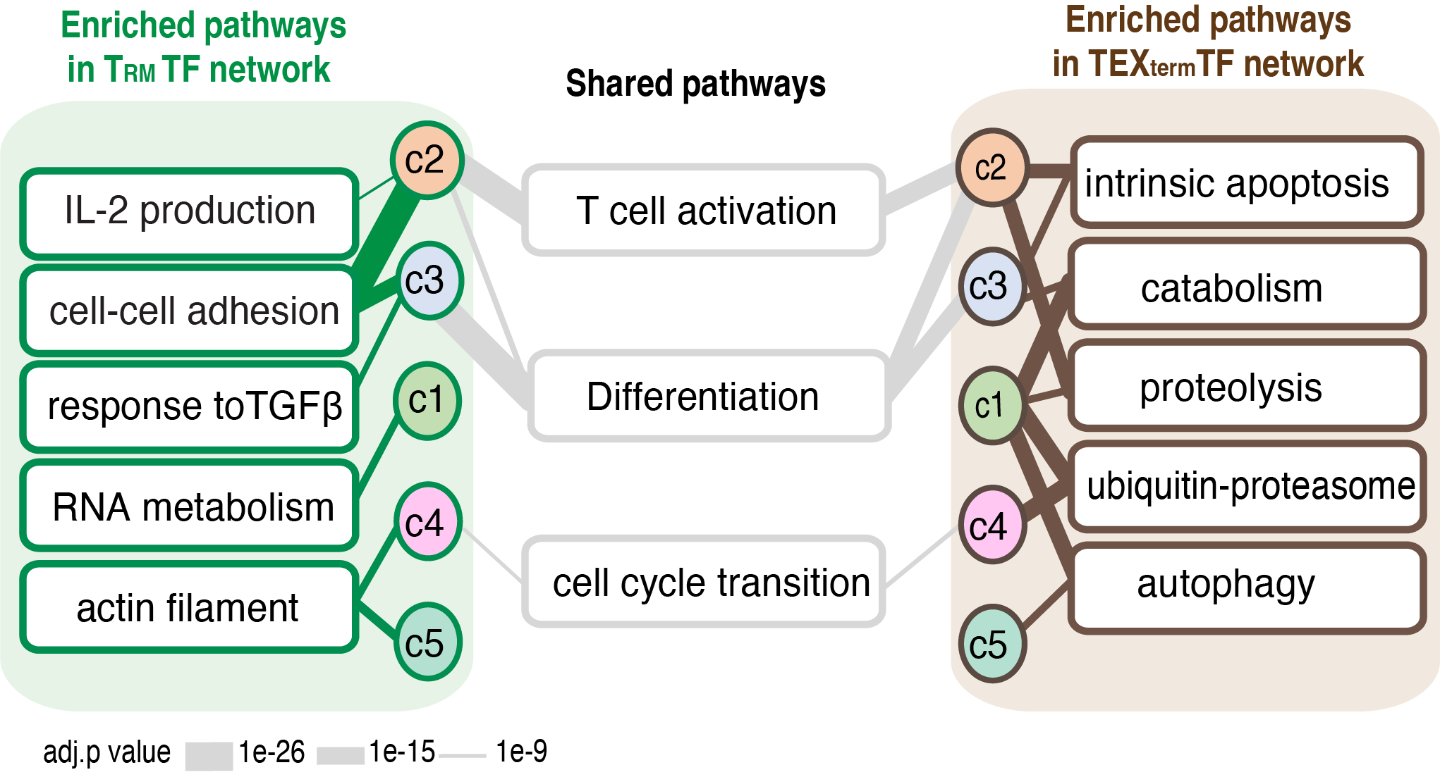 something went wrong