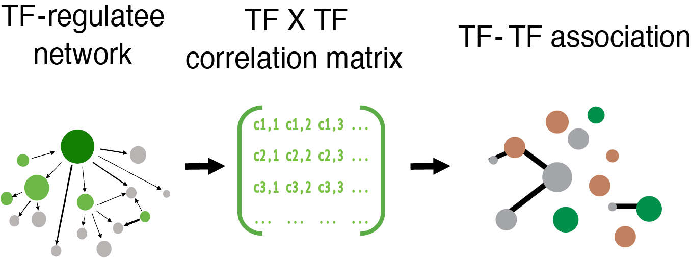something went wrong