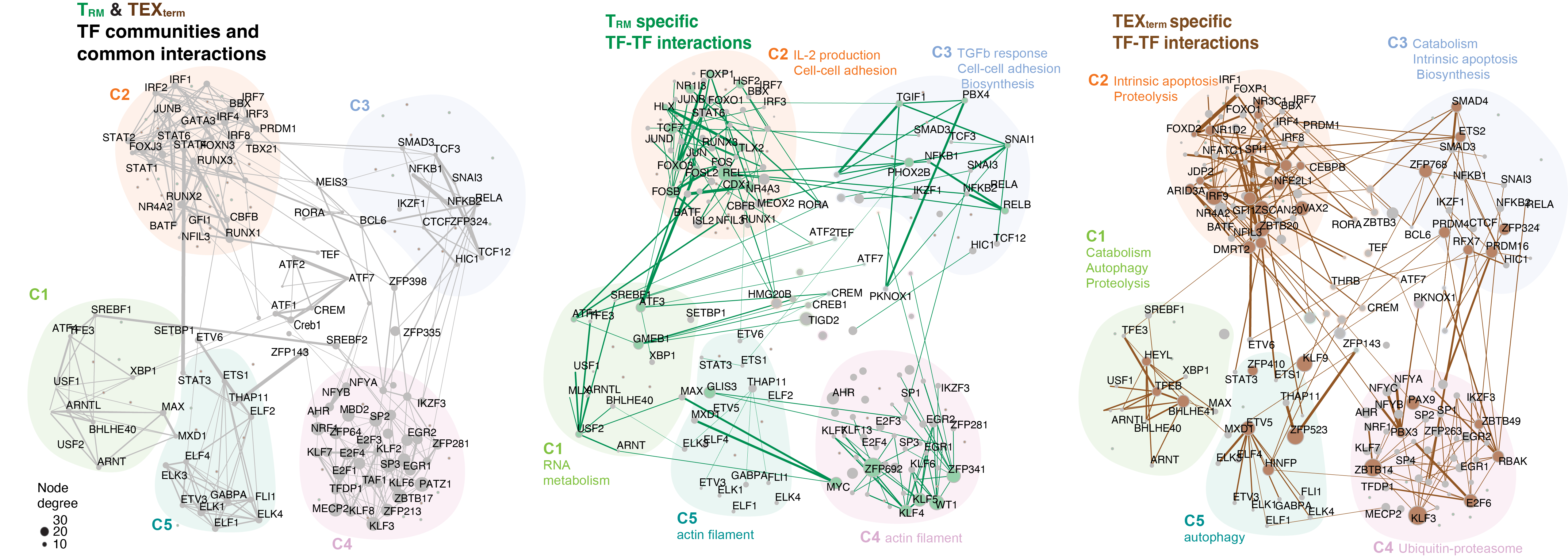 something went wrong