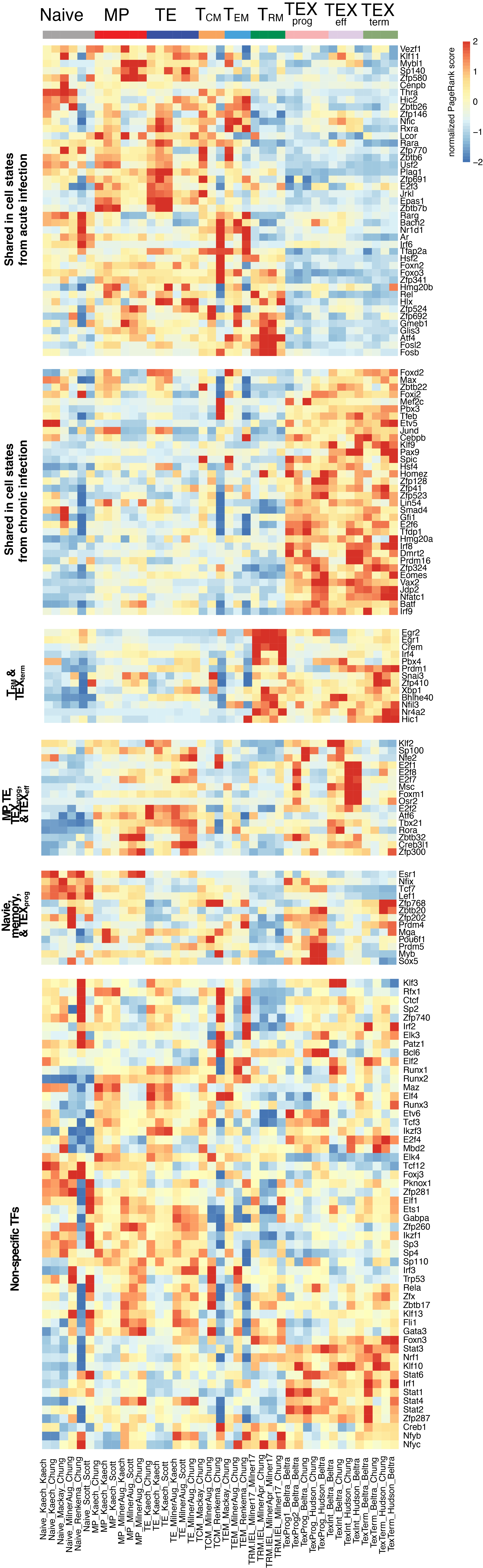 multi state TF heatmaps